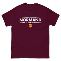 Thumbnail for T-shirt Normand bordeaux - Français de naissance