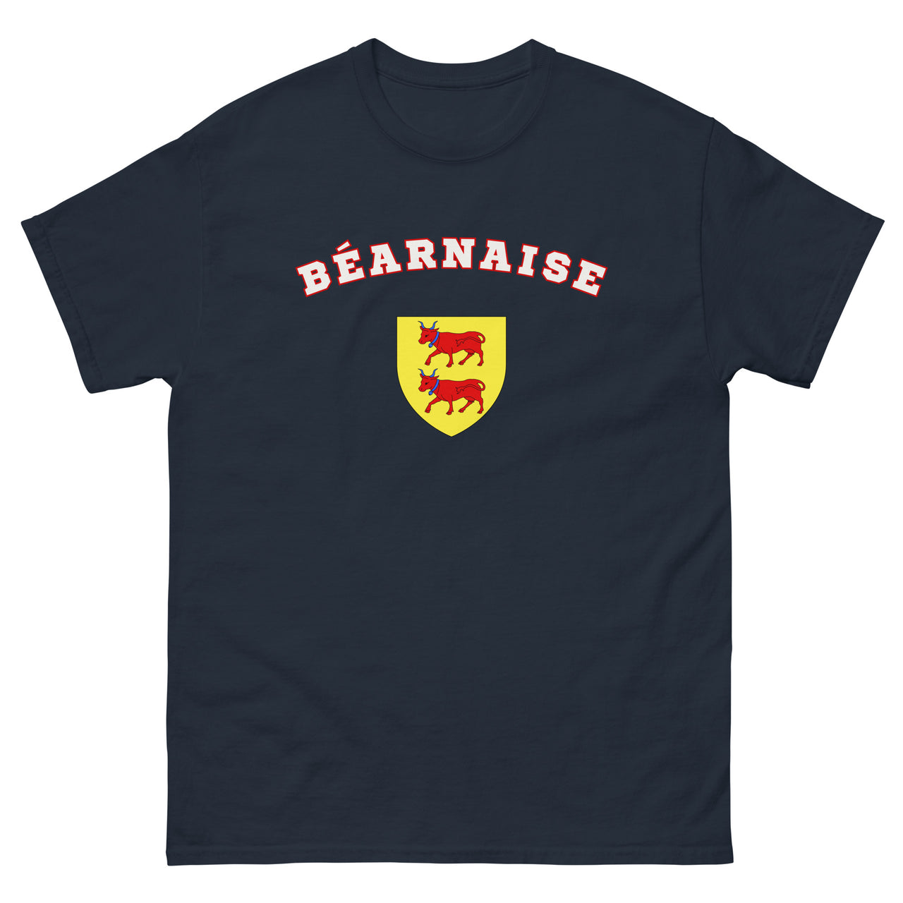 T-shirt Béarn noir dos - Fierté universitaire en coton