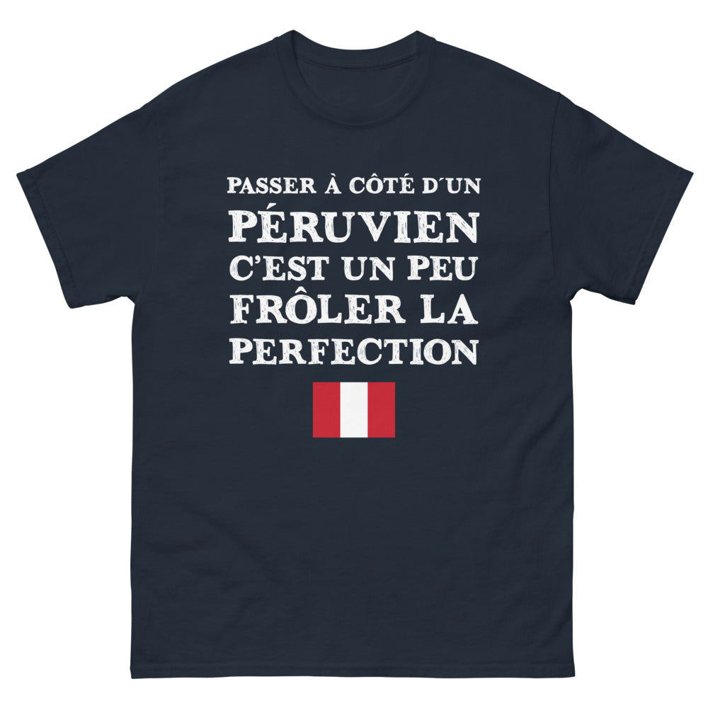 T-shirt Péruvien marine - Frôler la perfection avec humour