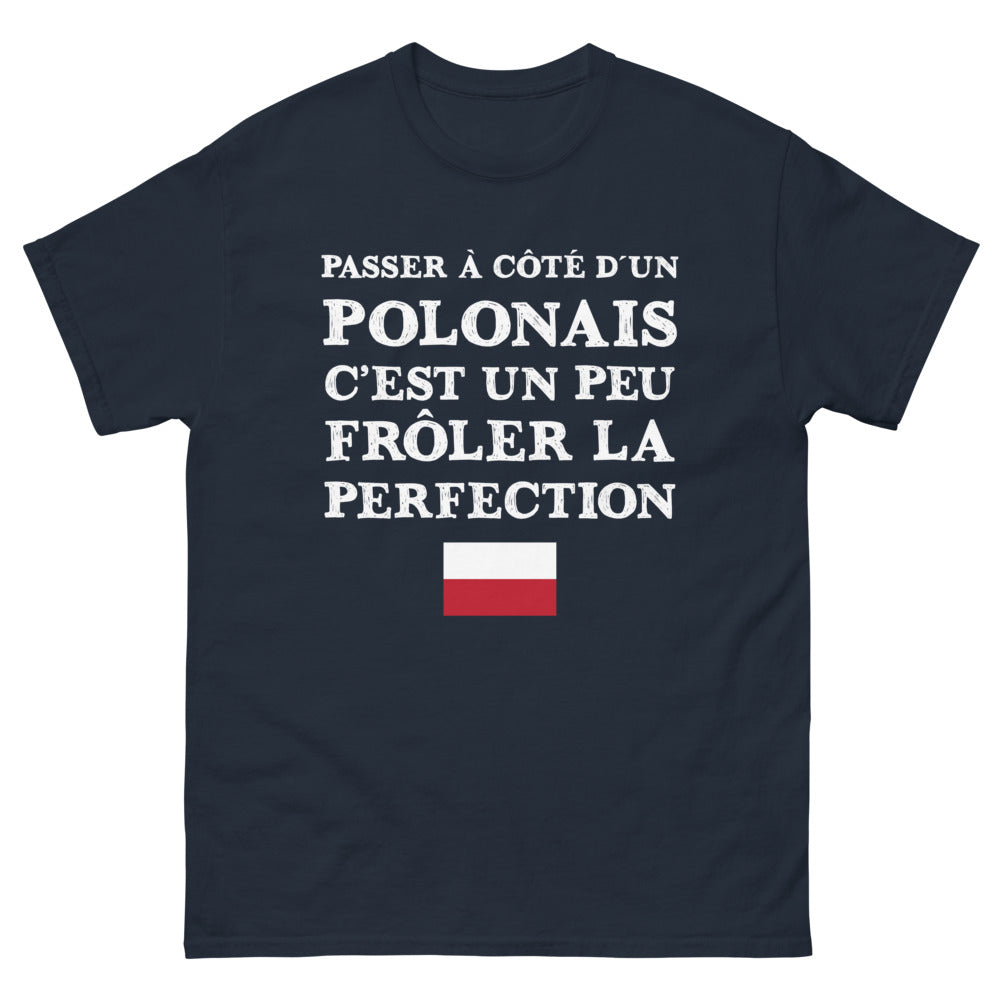 T-shirt Pologne marine - Passer à côté d'un Polonais, c'est frôler la perfection