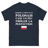 Thumbnail for T-shirt Pologne marine - Passer à côté d'un Polonais, c'est frôler la perfection