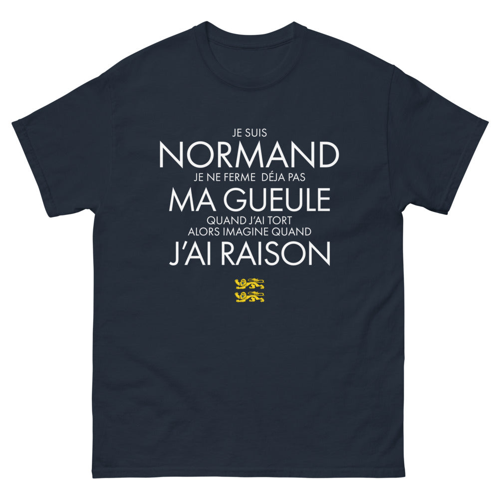 T-shirt Normand marine - Ne lâche rien avec humour