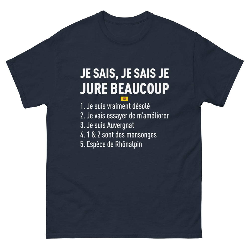 T-shirt Auvergne marine - L'Auvergnat incorrigible