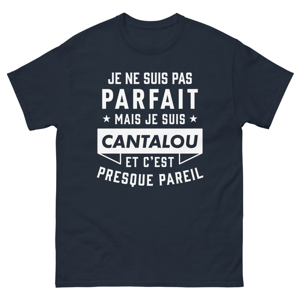 T-shirt Cantalou marine - Je ne suis pas parfait, presque pareil
