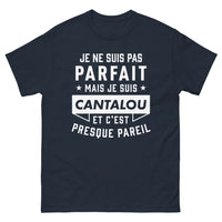 Thumbnail for T-shirt Cantalou marine - Je ne suis pas parfait, presque pareil