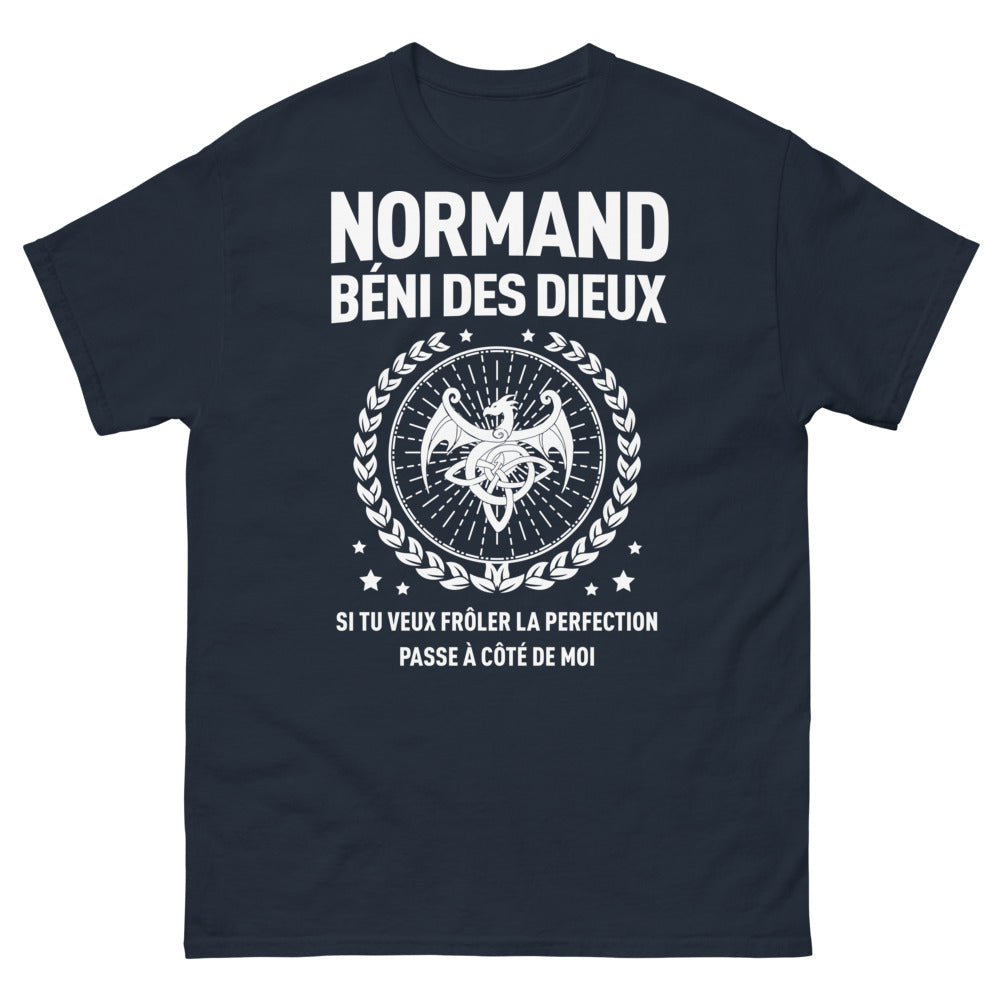 T-shirt Normand marine - Bénédiction des Dieux avec humour
