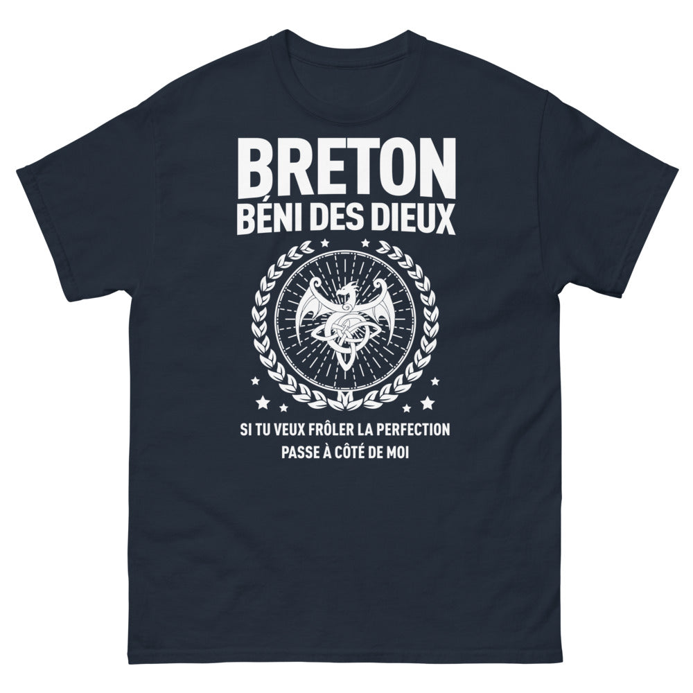 T-shirt Breton marine - Frôlez la perfection avec humour