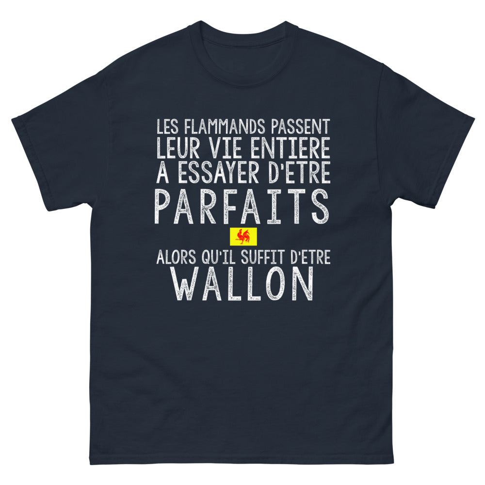 T-shirt Wallonie bleu marine - Les Flamands cherchent la perfection, être Wallon suffit