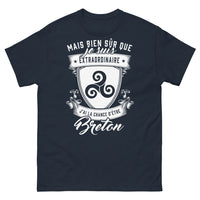 Thumbnail for T-shirt Bretagne marine - Breton fier et extraordinaire