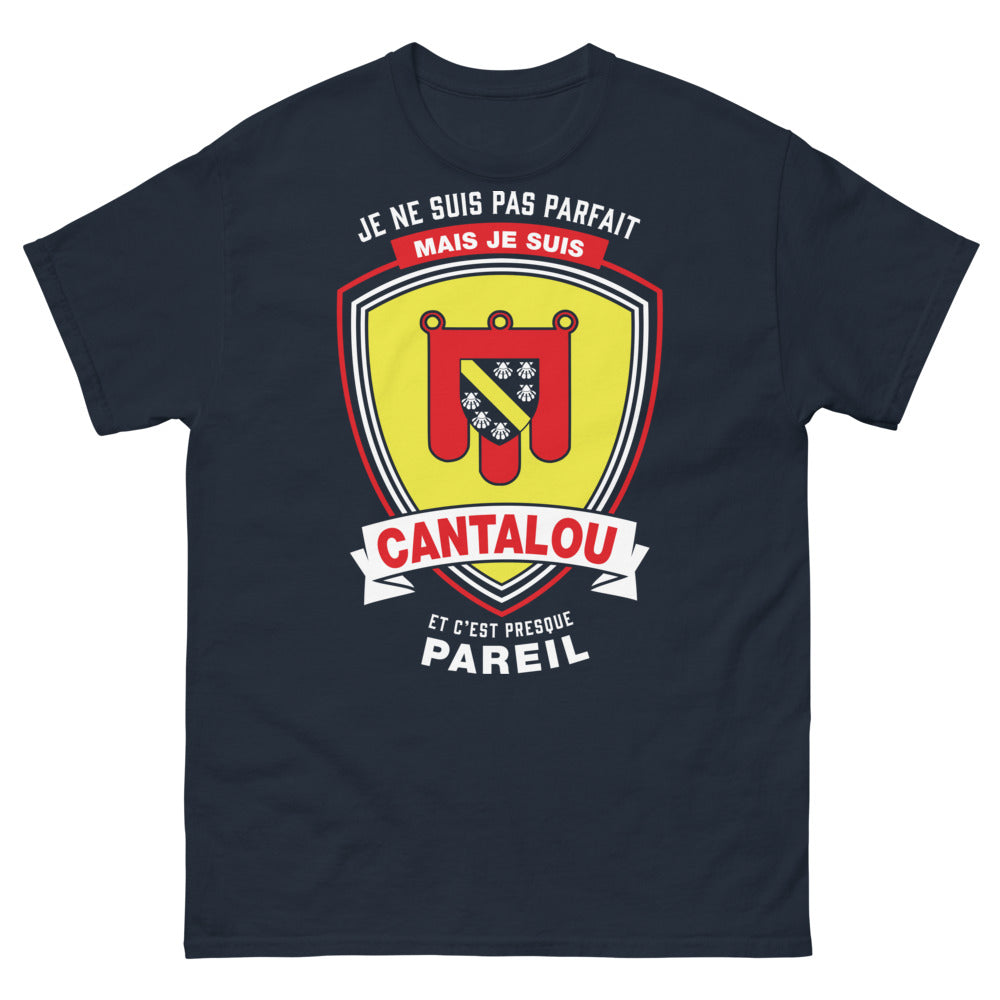 T-shirt Cantal marine - Je ne suis pas parfait mais je suis Cantalou
