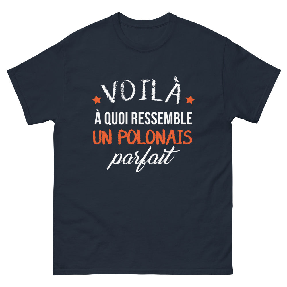 T-shirt Polonais marine face - Voilà à quoi ressemble un Polonais parfait