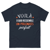 Thumbnail for T-shirt Polonais marine face - Voilà à quoi ressemble un Polonais parfait
