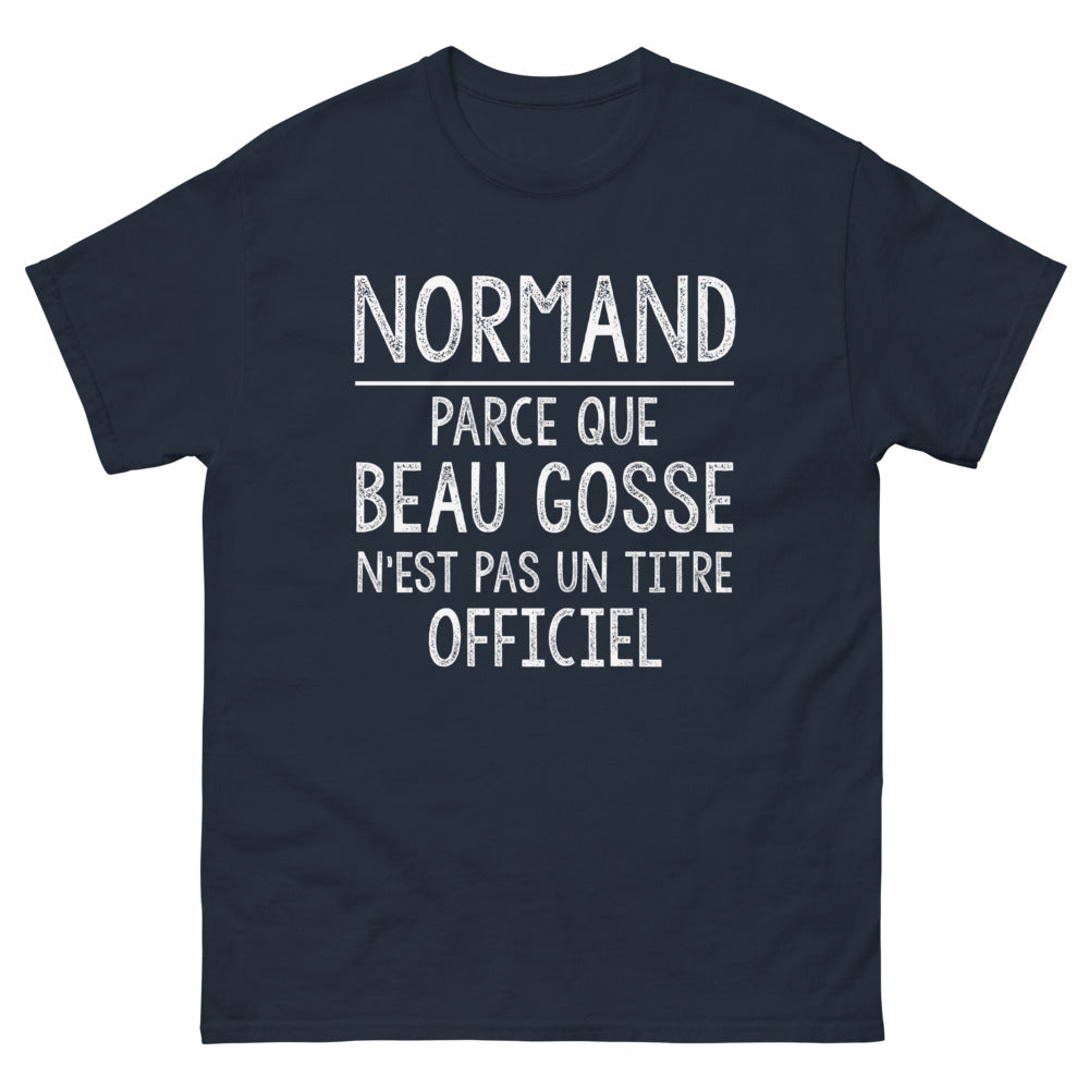 T-shirt Normand marine - Beau Gosse Normand