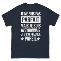 Thumbnail for T-shirt Aveyronnais noir dos - Je ne suis pas parfait… presque pareil
