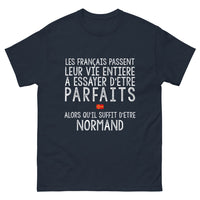 Thumbnail for T-shirt Il Suffit d'Être NORMAND