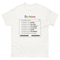 Thumbnail for T-shirt Bretagne blanc - Les Bretons Sont Formidables