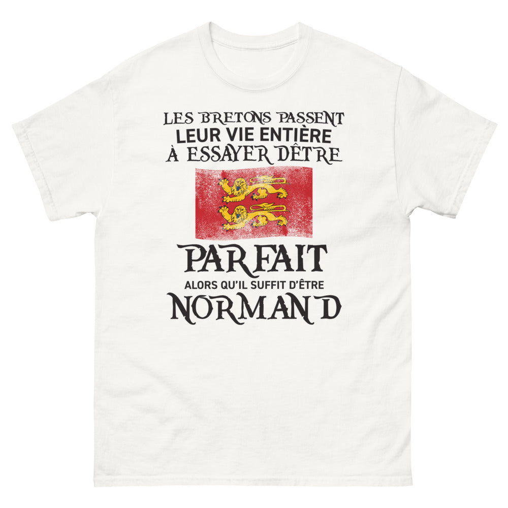 T-shirt Normand blanc - Parce que Pourquoi Chercher à Être Parfait?