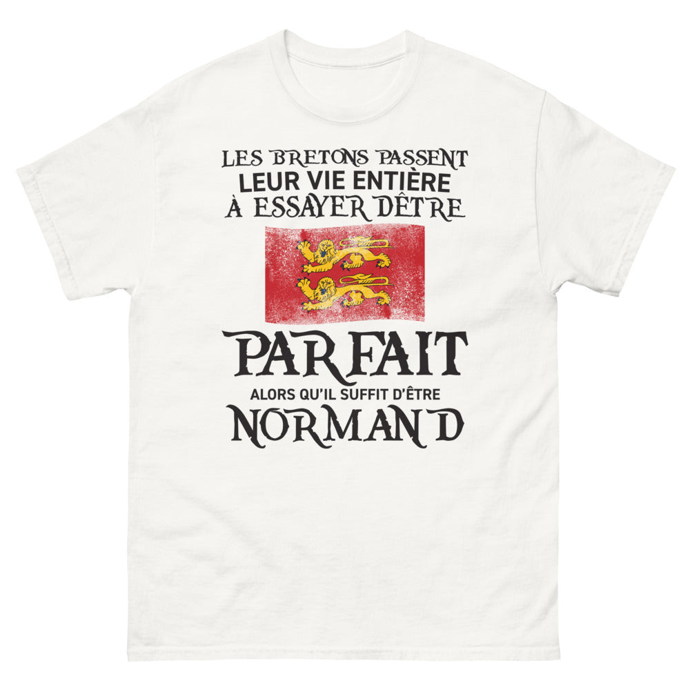 T-shirt Bretagne blanc - Parce que les Bretons passent leur vie entière