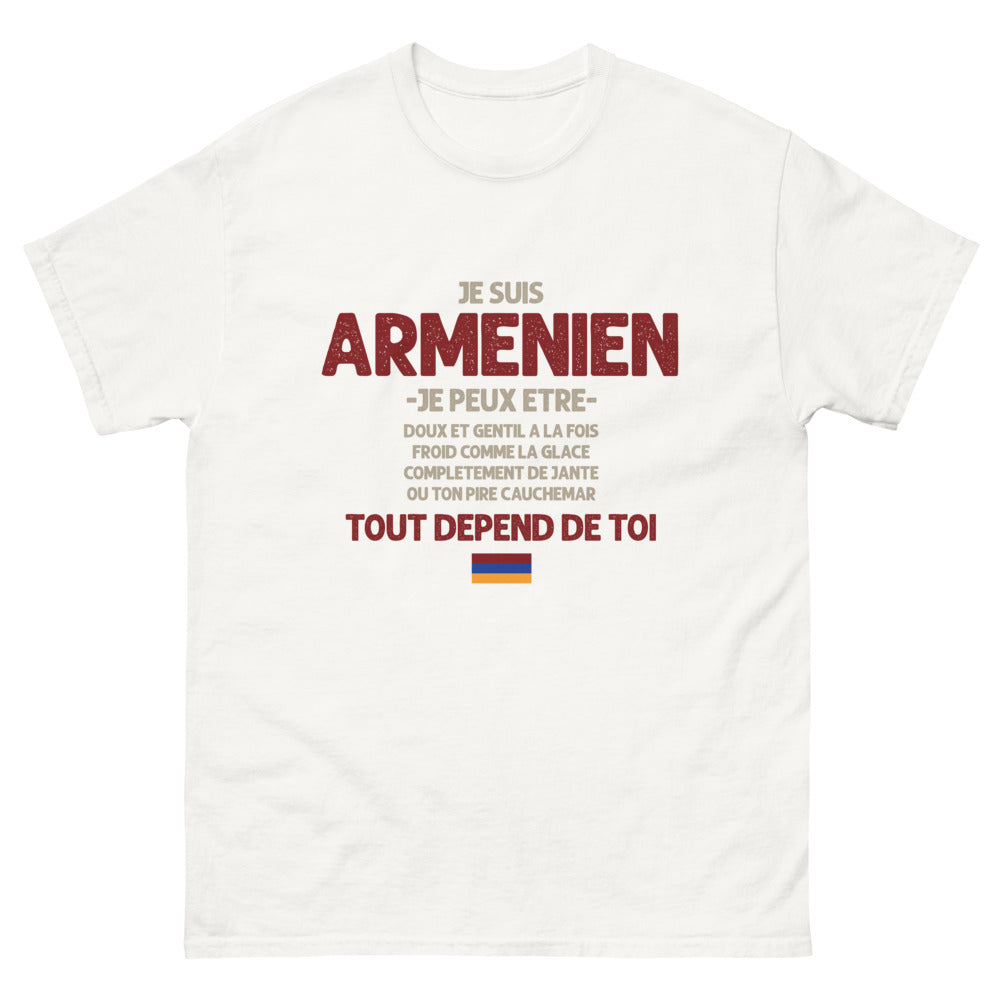 T-shirt Arménien blanc - Je suis Arménien : doux ou glacial ?