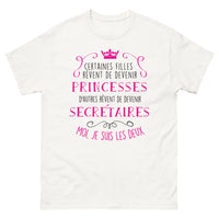 Thumbnail for T-shirt princesses et secrétaires blanc - moi je suis les deux