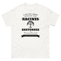Thumbnail for Il ne faut jamais oublier ses racines BRETONNES - T-shirt blanc