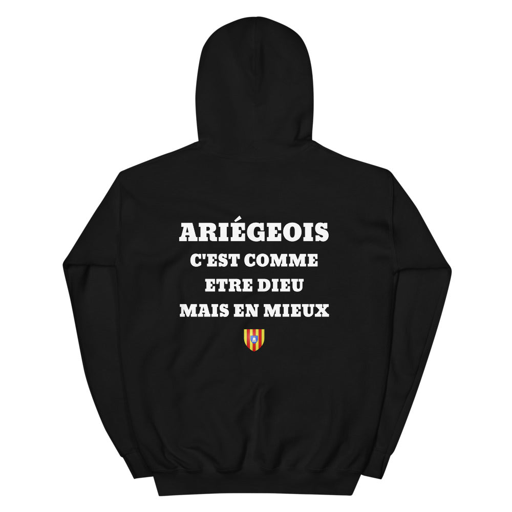 Hoodie Ariégeois c'est comme etre Dieu mais en mieux — Imprime au dos