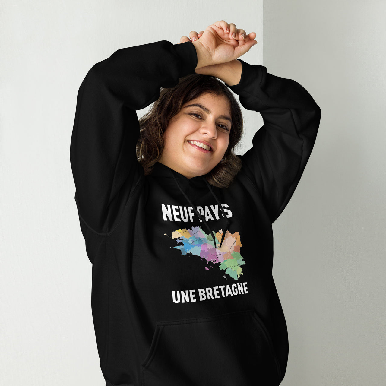 Sweat à capuche Bretagne rose clair dos - carte des pays bretons