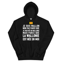 Thumbnail for La Wallonie est née en moi - Sweatshirt à capuche