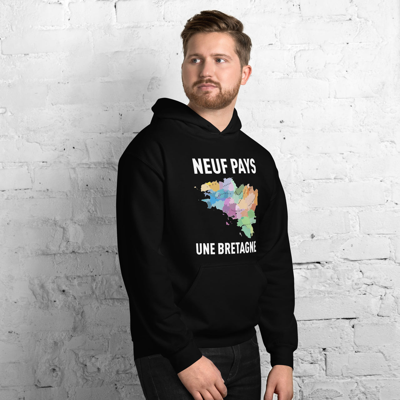 Sweat à capuche Bretagne bordeaux dos - carte des pays bretons