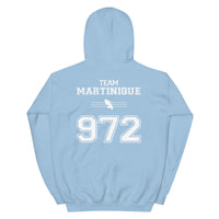 Thumbnail for Sweat à capuche Martinique 972 bordeaux dos - Douceur et fierté locale