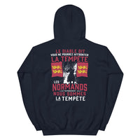 Thumbnail for Sweat à capuche Normands noir dos - La tempête et le Diable