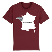 Thumbnail for Bretagne - Pas Bretagne - T-shirt coton BIO - Impression FR - Ici & Là - T-shirts & Souvenirs de chez toi