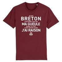 Thumbnail for Breton toujours raison R - T-shirt coton bio - imprimé FR - Ici & Là - T-shirts & Souvenirs de chez toi