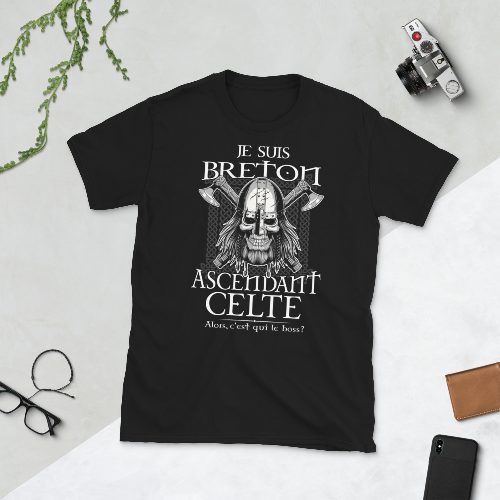 T-shirt Bretagne gris foncé dos - Fierté celtique avec humour