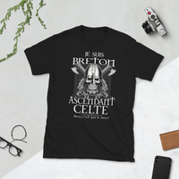 Thumbnail for T-shirt Bretagne gris foncé dos - Fierté celtique avec humour