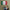 Drapeau Italie vert blanc rouge - Fierté et nostalgie