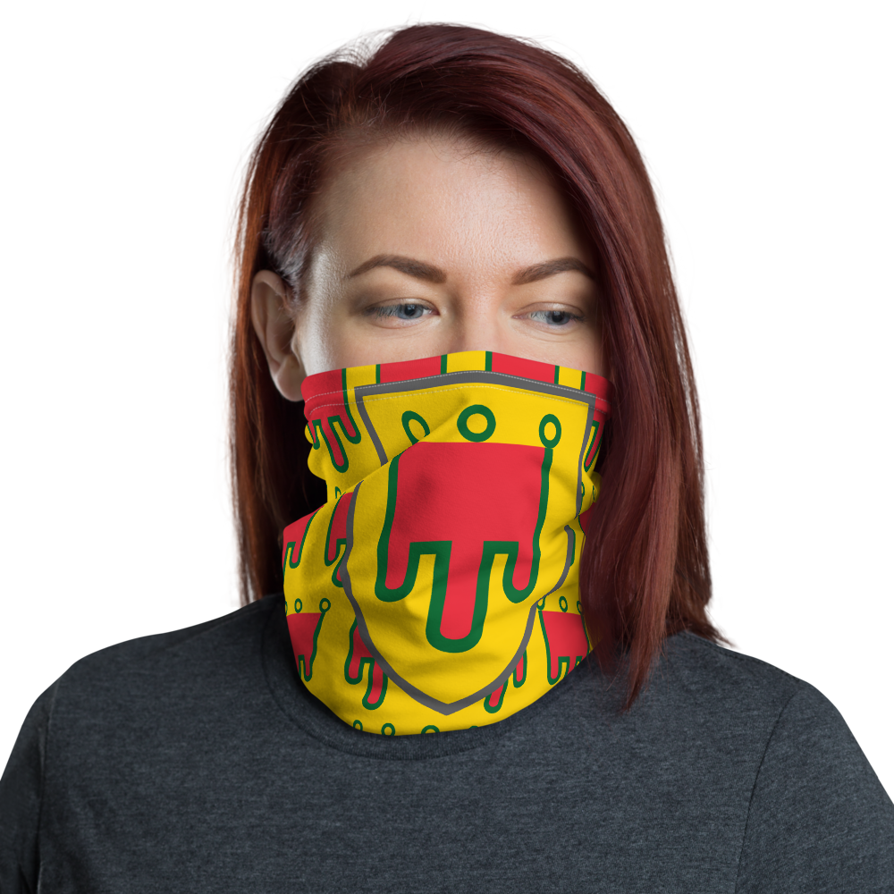 Masque Auvergne orange - Bandeau blason auvergnat humoristique