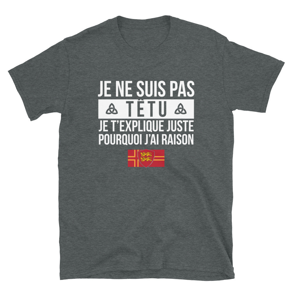 Têtu - Normand - Normandie - T-shirt Standard - Ici & Là - T-shirts & Souvenirs de chez toi