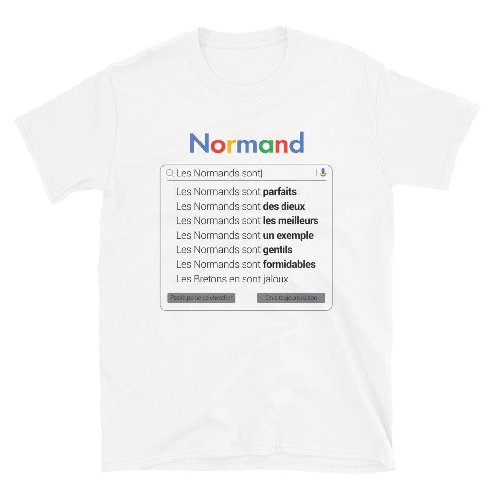 T-shirt Normands gris sport - Parodie humoristique