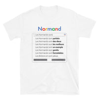 Thumbnail for T-shirt Normands gris sport - Parodie humoristique