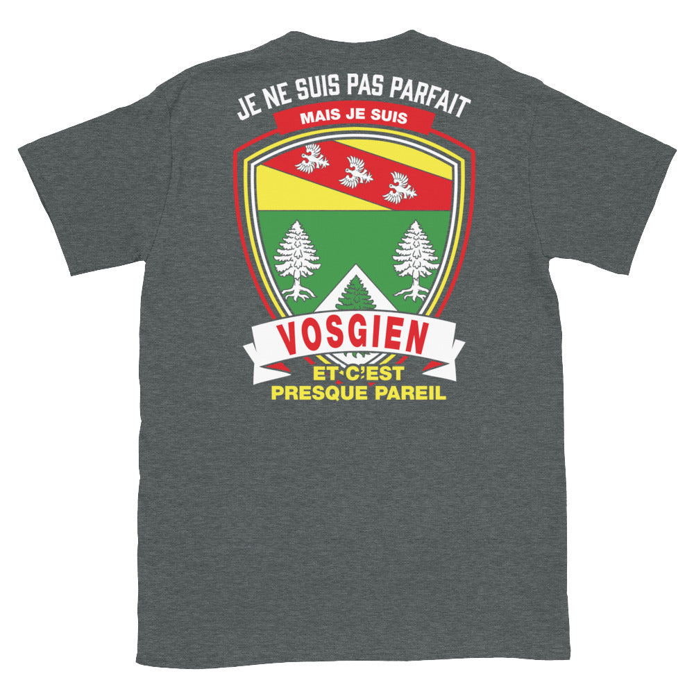 T-shirt Vosgien gris foncé - Je ne suis pas parfait mais vosgien