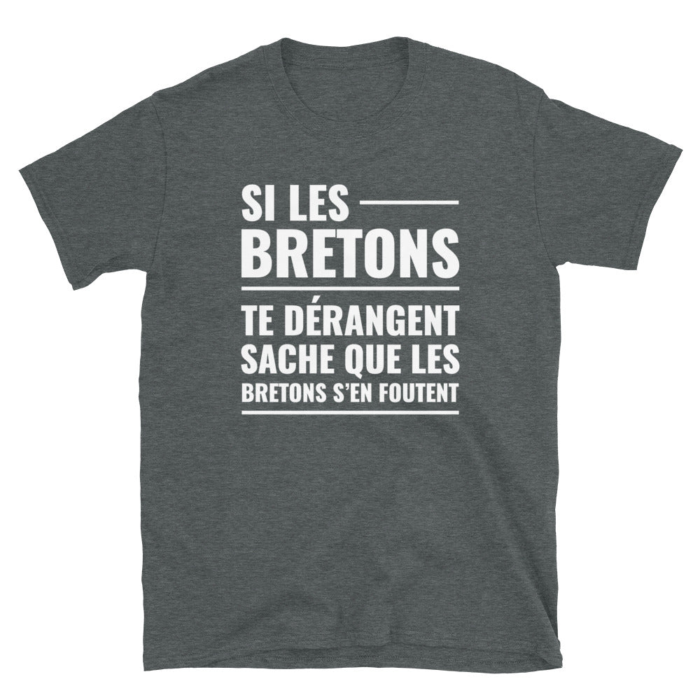 T-shirt Bretagne noir dos - Les Bretons s'en foutent