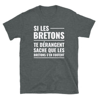 Thumbnail for T-shirt Bretagne noir dos - Les Bretons s'en foutent