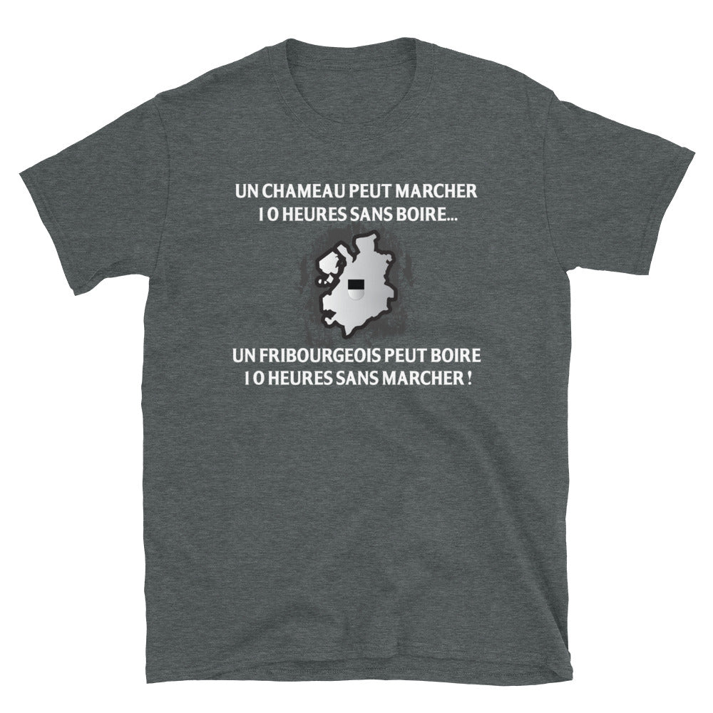 T-shirt Suisse gris foncé chiné - 10 heures sans marcher