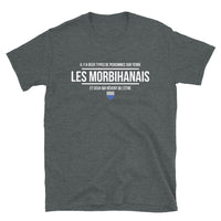 Thumbnail for T-shirt Bretagne noir - Fierté morbihannaise en coton