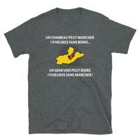 Thumbnail for T-shirt Suisse gris foncé chiné - 10 heures sans marcher