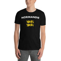 Thumbnail for T-shirt Normandie gris foncé chiné - Deux lions léopardés humoristiques