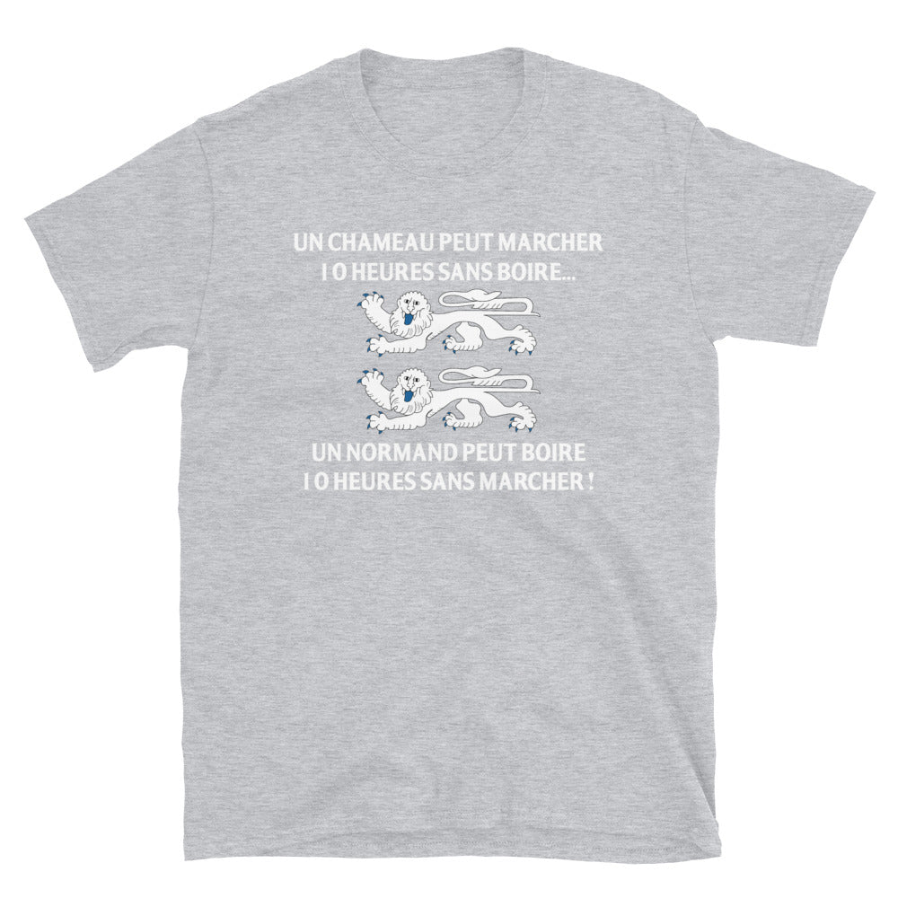 T-shirt Normand gris foncé chiné dos - Un normand peut boire 10 h sans marcher