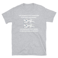 Thumbnail for T-shirt Normand gris foncé chiné dos - Un normand peut boire 10 h sans marcher