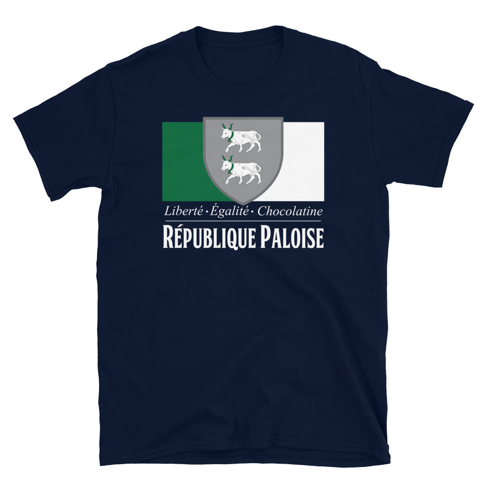 T-shirt Béarn gris foncé - Confort et fierté locale